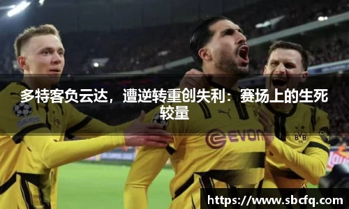 k1体育下载安装
