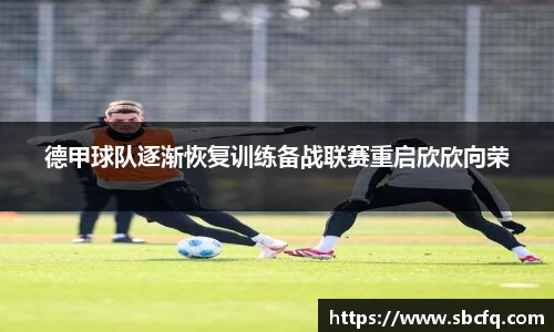 k1体育官网