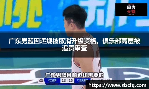 广东男篮因违规被取消升级资格，俱乐部高层被追责审查