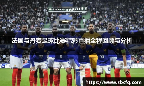 法国与丹麦足球比赛精彩直播全程回顾与分析